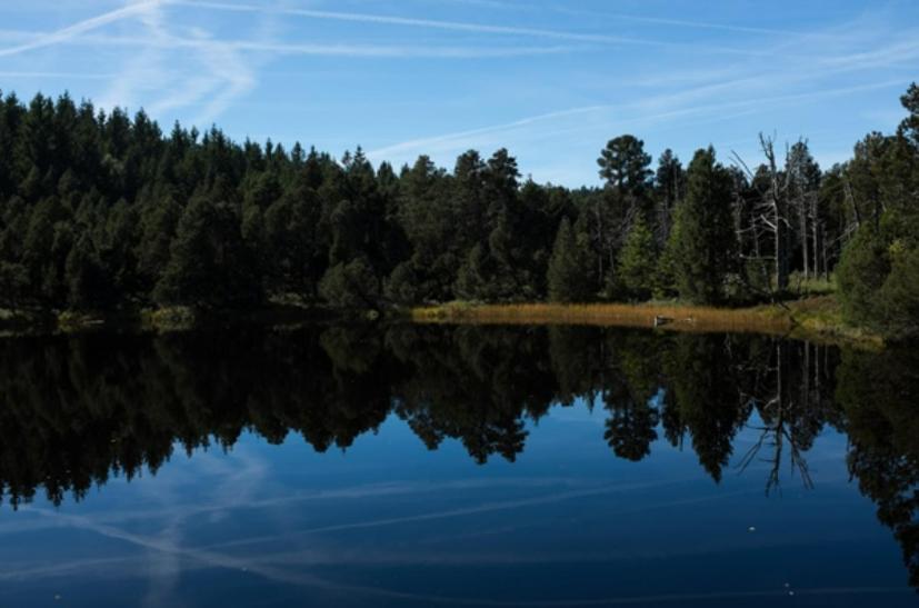 Living Timeless- Black Forest Style- Schoenwald Exteriér fotografie