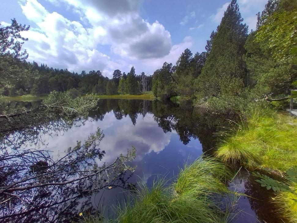 Living Timeless- Black Forest Style- Schoenwald Exteriér fotografie