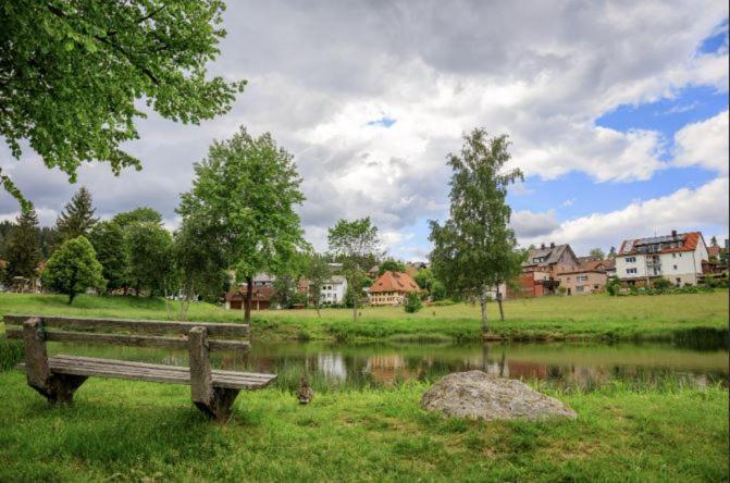 Living Timeless- Black Forest Style- Schoenwald Exteriér fotografie