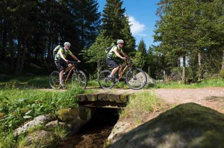 Living Timeless- Black Forest Style- Schoenwald Exteriér fotografie