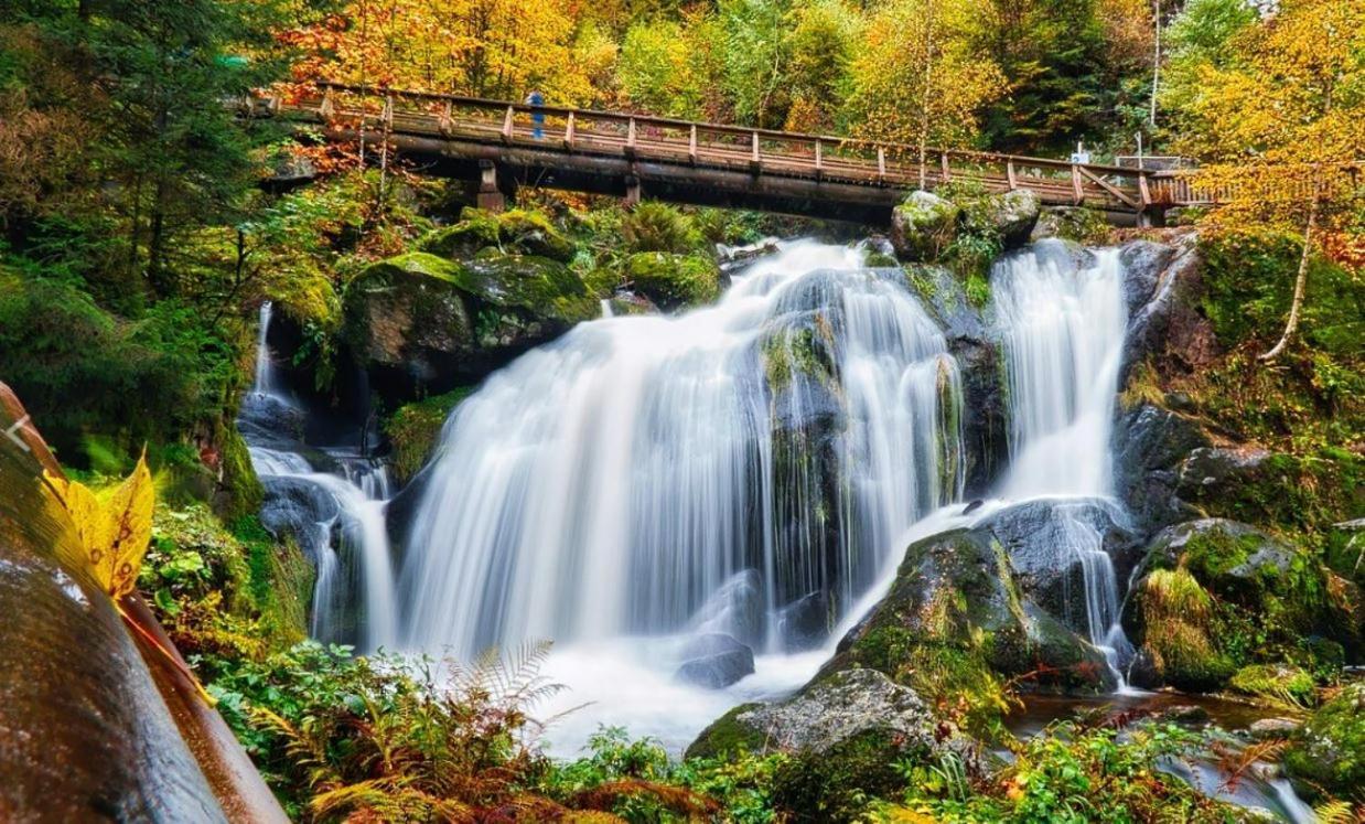 Living Timeless- Black Forest Style- Schoenwald Exteriér fotografie