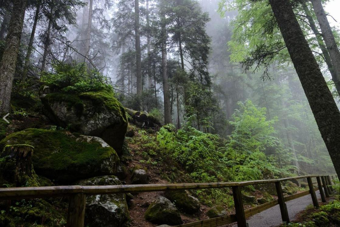 Living Timeless- Black Forest Style- Schoenwald Exteriér fotografie